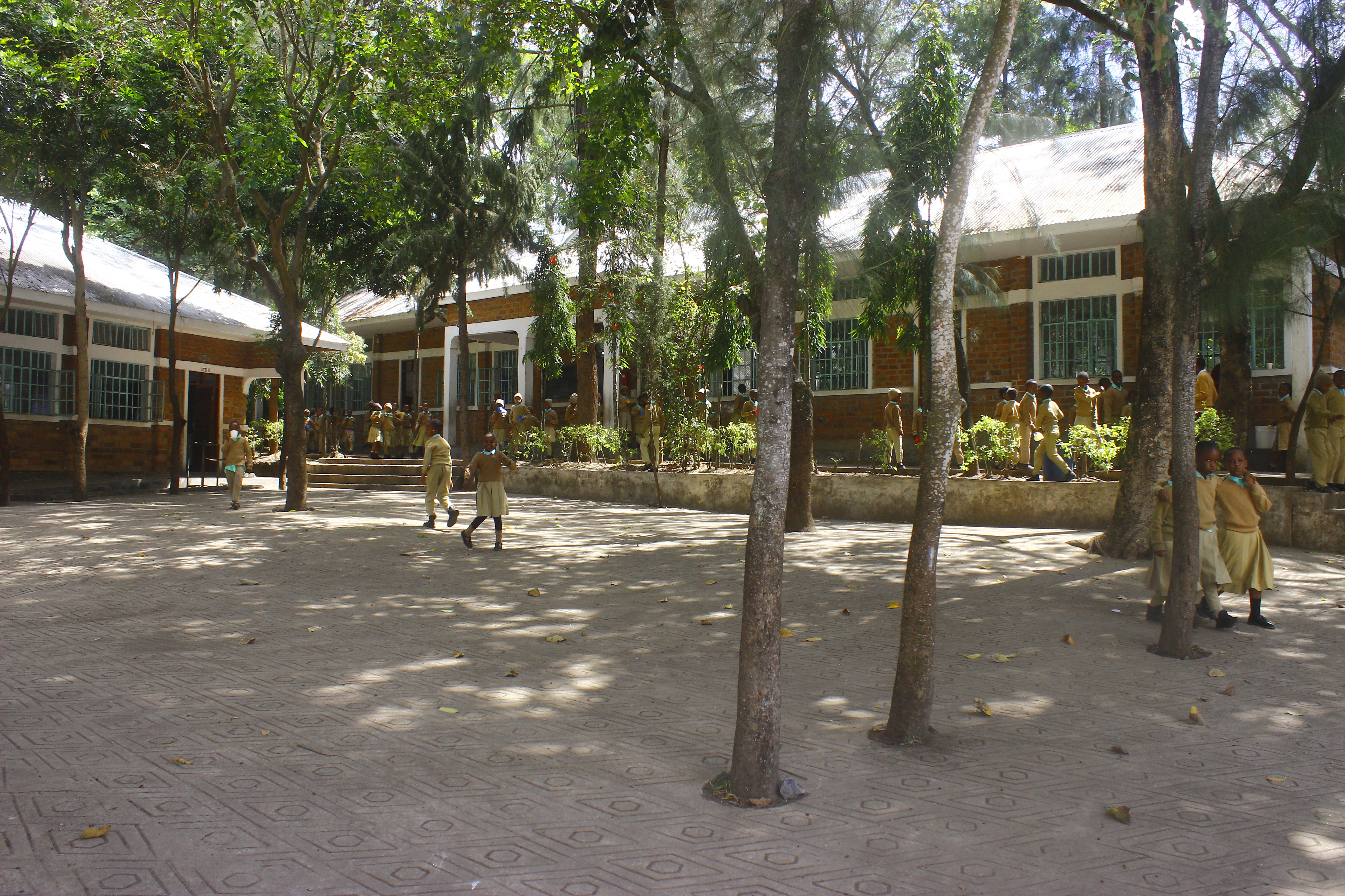 Community Engagement